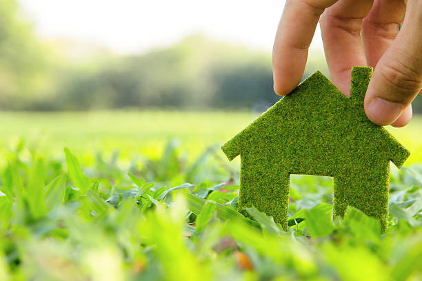 Eco-Friendly Home Improvements